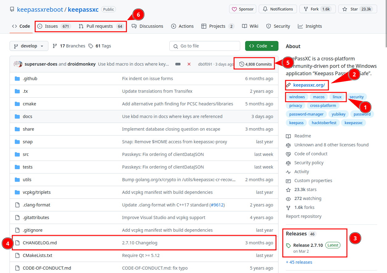 Screenshot des KeepassXC-Repos auf Github, abgerufen am 03.06.2025